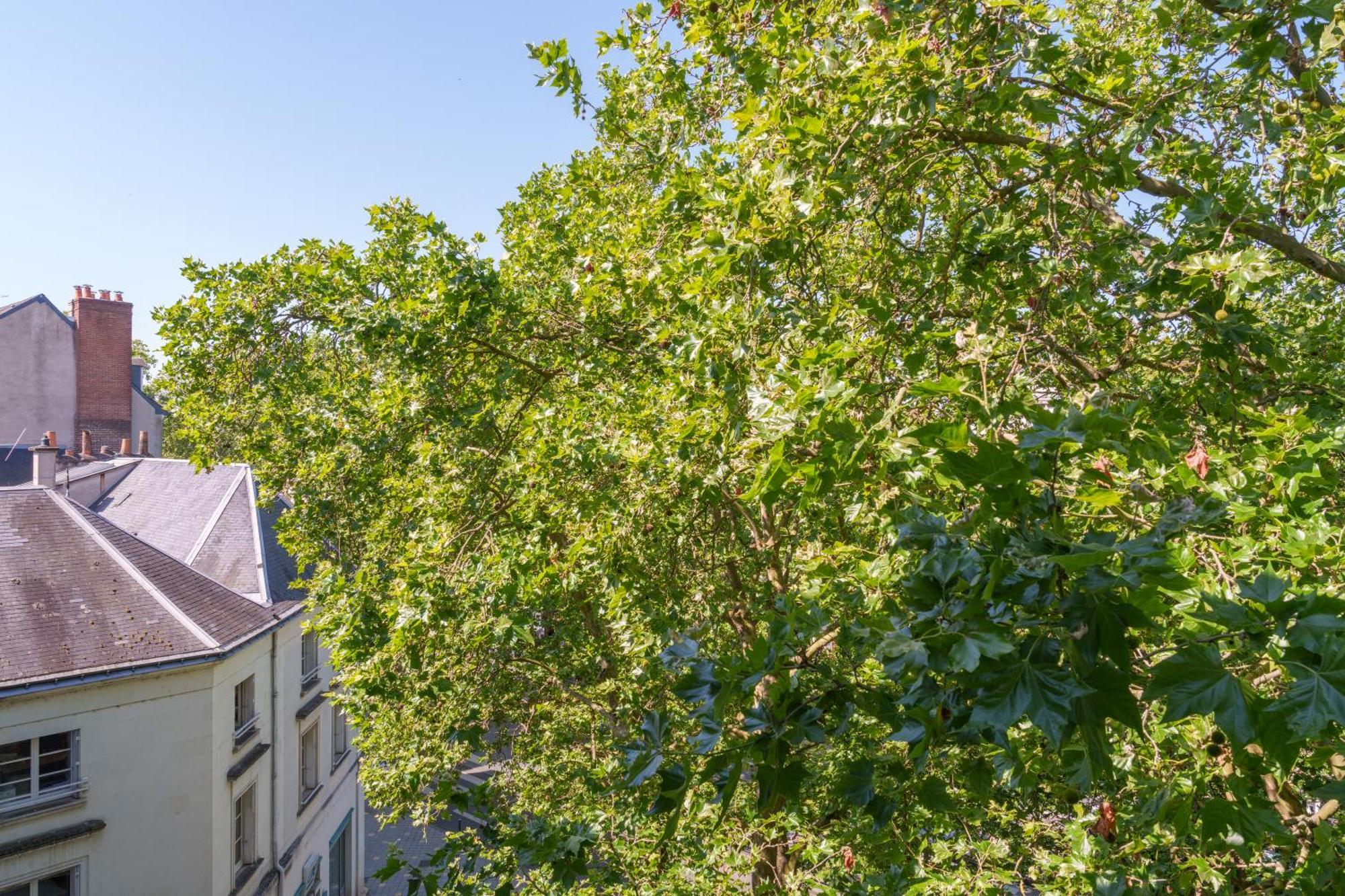 Appartement Tours Centre Avec Parking 4 P Eksteriør bilde